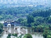 新西兰足球比分-新西兰足球比分，绿茵场上的激情与荣耀交织